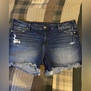 Silver Plus Jean Shorts
